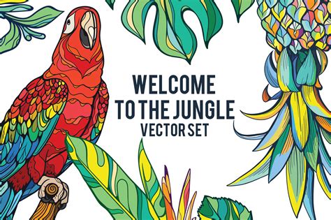 jungle custom designed graphics creative market