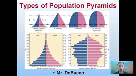 Rapid Growth Population Pyramid How To Read A Population