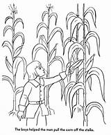 Coloring Pages Thanksgiving Harvest Pilgrims Pilgrim Corn Story Bible History Stalk Printables Color Drawing Clipart Library Popular Dot Kids Getdrawings sketch template
