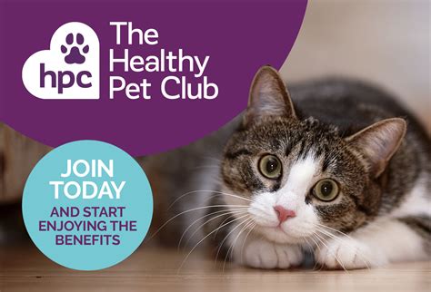 healthy pet club church walk veterinary centre