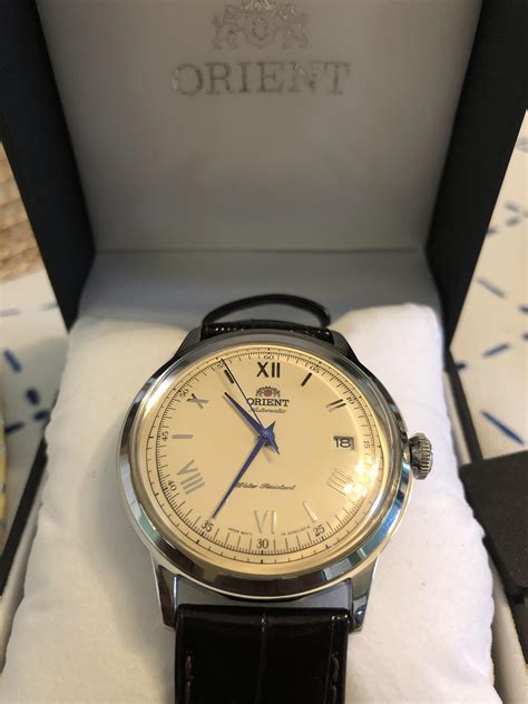 wts orient bambino  cream rwatchexchange