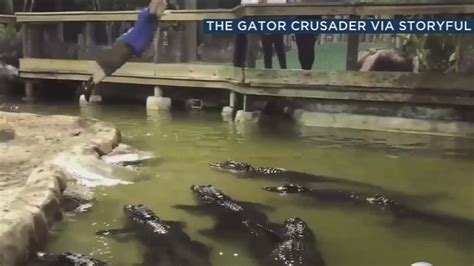 Man Dives Headlong Into Pool Filled With Alligators Abc13 Houston