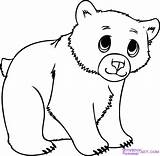 Bear Drawing Cub Polar Coloring Cartoon Draw Clipart Clipartmag Cubs Step Cute Baby Es Animals Choose Board sketch template