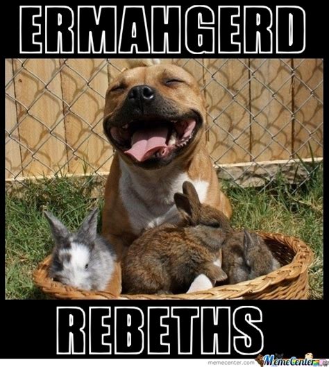 rabbits everywhere by unhealthy meme center