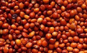 red gram laal daal suppliers red gram manufacturers wholesalers