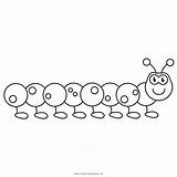 Bruco Colorare Lagarta Colorir Oruga Caterpillar Ultracoloringpages sketch template