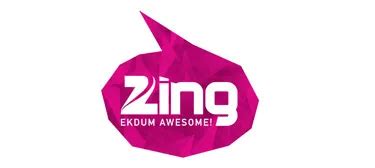 zing unveils  brand identity targets youth  media info