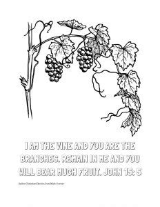 vine    branches coloring page judeo christian