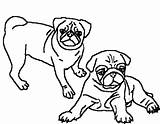 Pug Coloring Pages Two Pugs Clipart Adult Puppy Print Dog Printable Beautiful Drawing Cartoon Pig Color Draw Kids Getdrawings Getcolorings sketch template