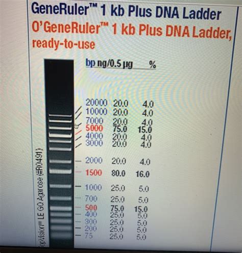 Generuler 1 Kb Plus Dna Ladder Ready To Use Home Design Ideas