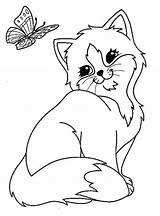 Cat Butterfly Coloring Pages Printable A4 Kids Categories sketch template