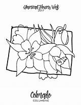 Coloring Pages Flower Choose Board sketch template