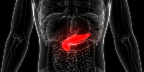 Pancreatitis Qué Es Síntomas Prevención Y Tratamiento