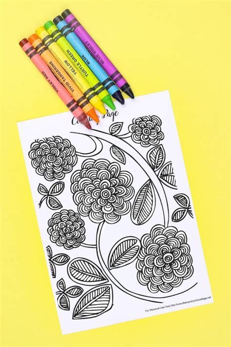 spring coloring pages  adults angie holden  country chic