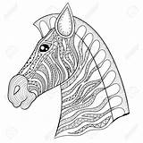 Coloring Zentangle Pages Horse Zebra Head Getdrawings Getcolorings sketch template