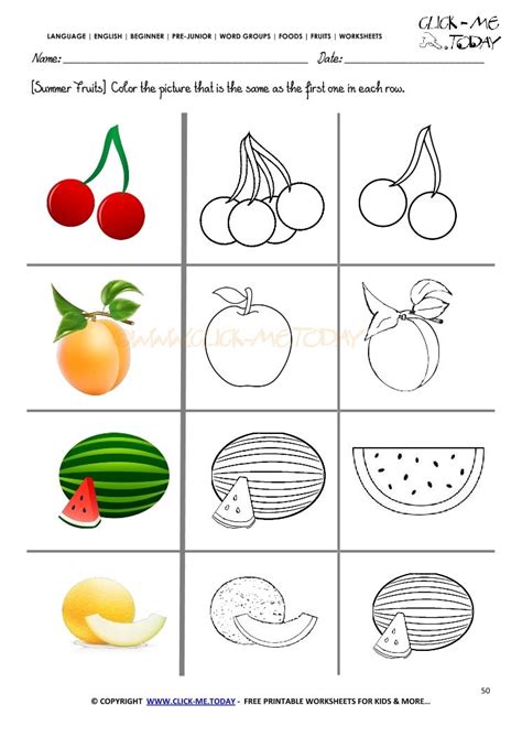 fruits worksheet  color   summer fruit coloring worksheets