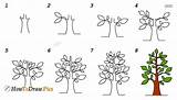Neem Tree Draw Step sketch template