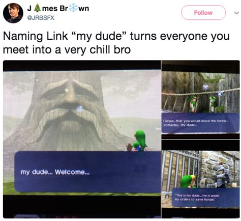 Link My Dude The Legend Of Zelda Know Your Meme