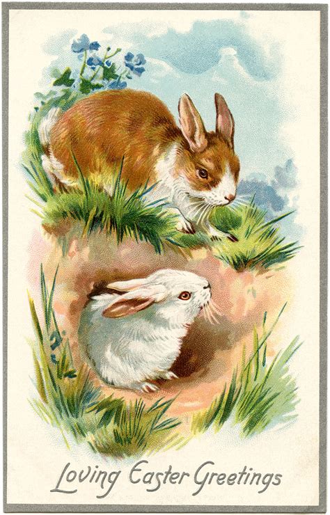 clever bunnies april 2015
