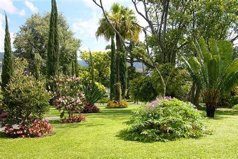 quinta jardins  lago photo gallery funchal tableaux vivants tropical hotel botanical