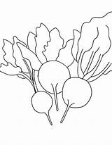 Beets Coloring Learn Pages sketch template