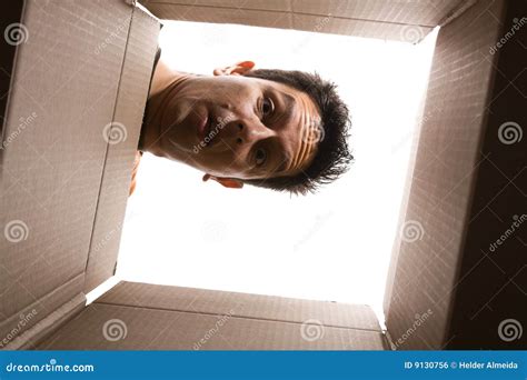 box stock photo image  brown handsome