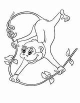 Affe Affen Ausmalbild Swinging Monyet Ausmalen Mewarna Momjunction Monkeys Zum Kostenlosen Zeichnen Colouring Kertas Kanak Haiwan Lieblingsfarbe Kleiner Kostenlose Fensterbilder sketch template