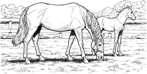 horse coloring pages  kindergarten learning printable