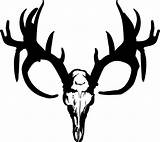 Deer Skull Clipart Clip Buck Drawings Skulls Head Silhouette Outline Logo Mounts Cliparts Tribal Stencil Elk Decal Whitetail Antlers Line sketch template