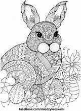 Adult Colouring sketch template