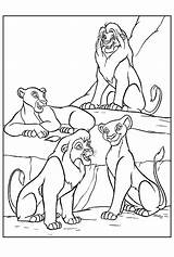 Coloring Lion King Pages Disney Lions Colour Pride Simba Book Colouring Clipart Comments Baby Popular Coloringhome Library sketch template