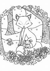 Coloring Pages Fox Winter sketch template