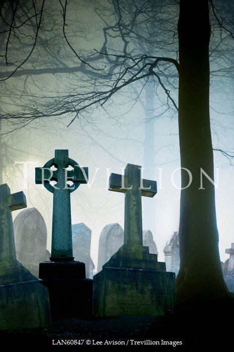 trevillion images lee avison graveyard in grey winter fog bu10