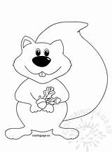 Squirrel Acorn Coloringpage Gland Enregistrée sketch template
