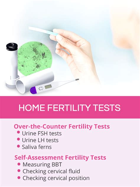 fertility tests shecares