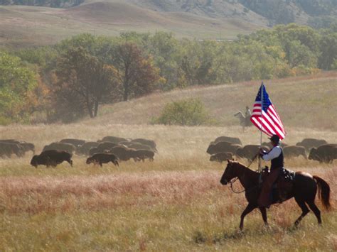 tim giago  arent lakota warriors welcomed  buffalo roundup
