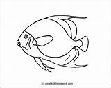 Fish Outline Coloring Angelfish French Easy Pages Angel Color Tattoo Getcolorings Choose Board Templates Printable Getdrawings Print Kids Steer sketch template