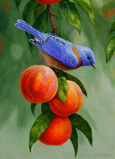 beautiful bird paintings  art works   inspiration birds