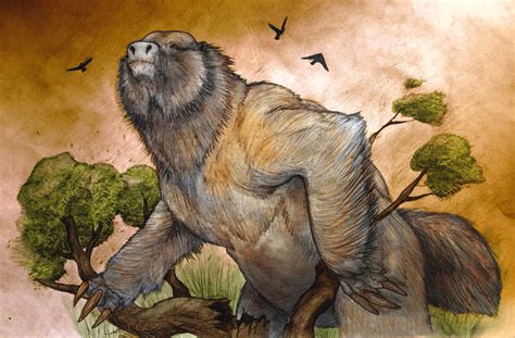 paleontologists find  million year  ground sloth fossil paleontology sci newscom