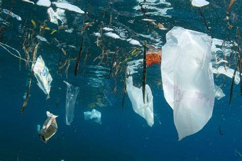sauvons la nature de la pollution plastique wwf france