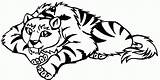 Sabre Tigers Mask Sabretooth Sleeping Tattoodaze Coloringfolder sketch template