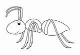 Hormigas Ants sketch template