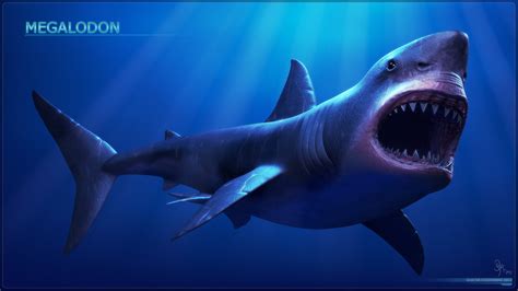 carcharodon megalodonjpivpythor jurassic park fanon wiki