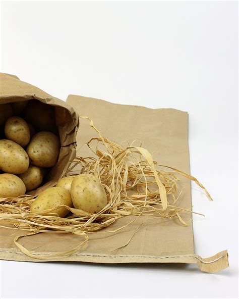 potato sack printed paper kg sack