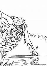 Coloring Rafiki Lion King Pages Getcolorings Color Printable sketch template