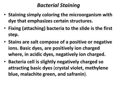 Ppt Bacterial Morphology Powerpoint Presentation Free