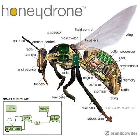 rich featured bee drone zengin oezellikli ari drone tag  friend whod