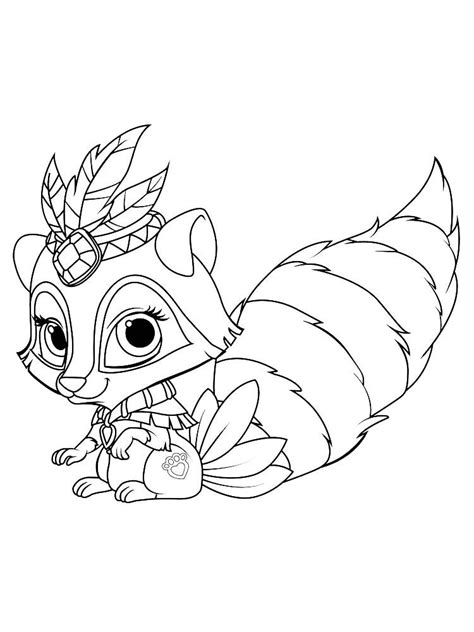 chester raccoon coloring page raccoons  small mammals