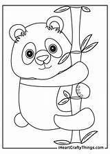 Giant Pintar Urso Iheartcraftythings Pandas sketch template