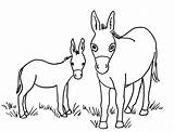 Donkey Coloring Pages Baby Printable Head Drawing Color Template Print Printables Sketch Ollie Getcolorings Getdrawings Samanthasbell sketch template